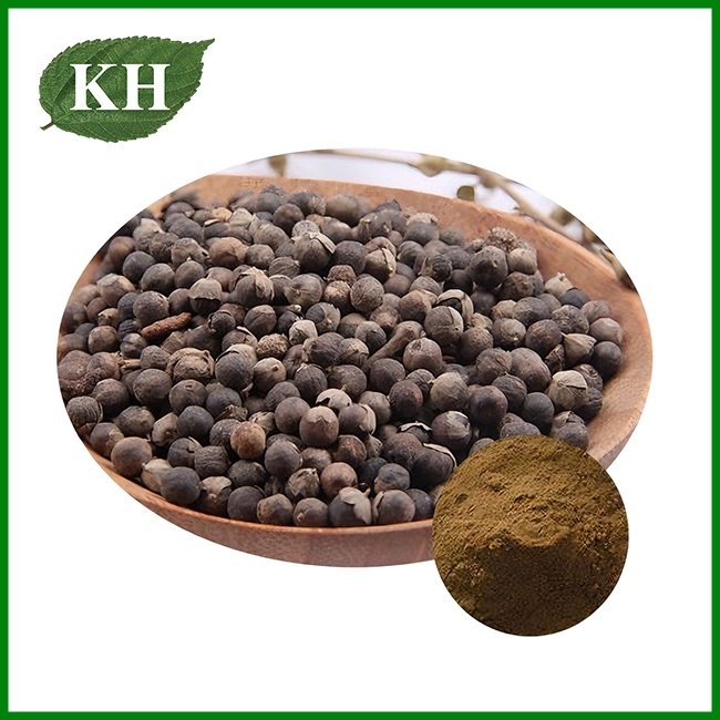 Chasteberry Extract Powder